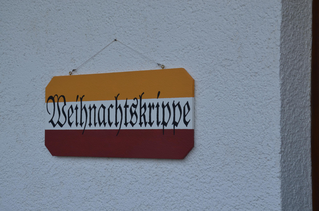 DSC_3204.JPG
