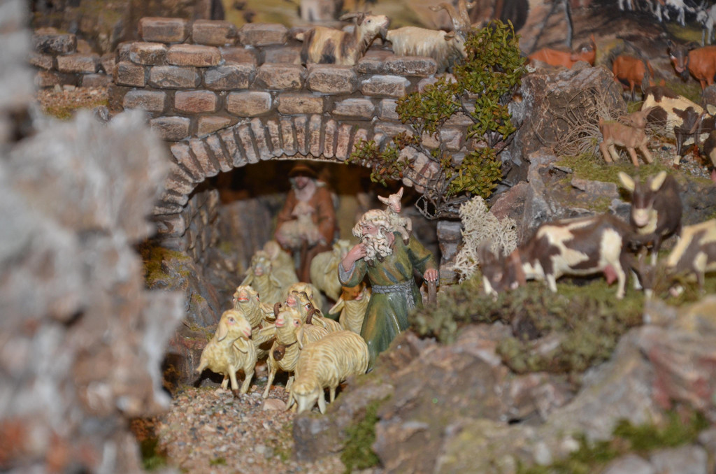 DSC_3218.JPG