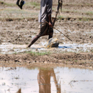 Monsun-Fluten fordern hunderte Tote in Indien II