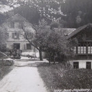 schnifis03.jpg
