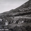 schnifis04.jpg