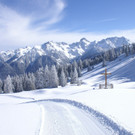 PICT0049.JPG