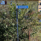 Haydnstra__e_1.JPG
