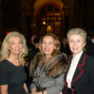 Preview_Night_of_Gold-Elisabeth Hirnigel.JPG