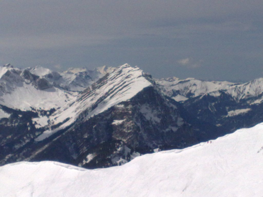 02042010242_jpg-1270228970