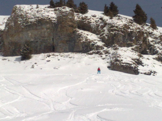02042010249_jpg-1270228988