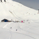 02042010252_jpg-1270228993