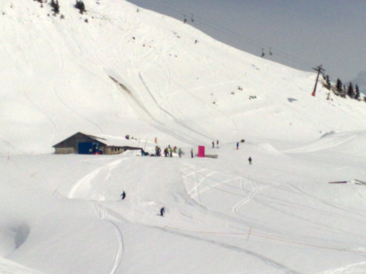 02042010252_jpg-1270228993