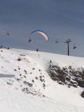 02042010254_jpg-1270228998