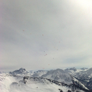 02042010256_jpg-1270229001