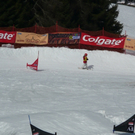 P1050363_JPG-1270230721