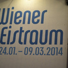 Leserreporter: Eindrücke vom Wiener Eistraum 2014 (Eröffnung)