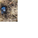24_01_2014 - SPK St_ P__lten_ Diebesgut_ Foto1.jpg