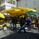 Bild 082_jpg-1270248350