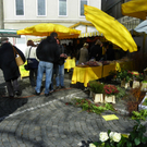 Bild 083_jpg-1270248358