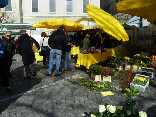 Bild 083_jpg-1270248358