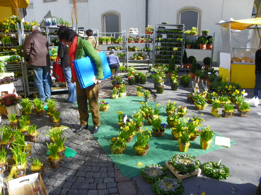 Bild 087_jpg-1270248384