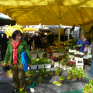 Bild 089_jpg-1270248401
