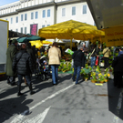 Bild 090_jpg-1270248411