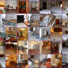radi new small collage.jpg