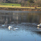 DSCN2271.JPG