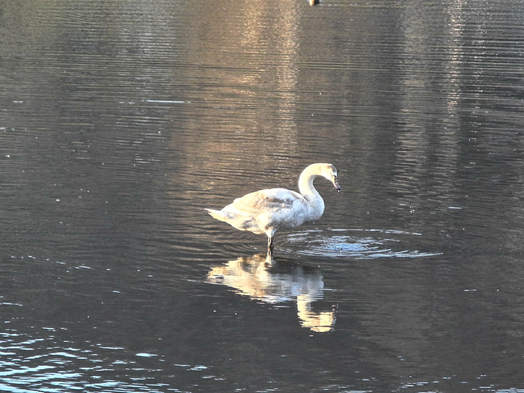 DSCN2272.JPG