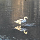 DSCN2272.JPG
