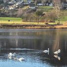 DSCN2273.JPG