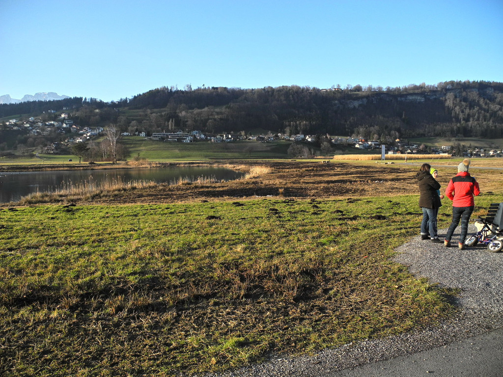 DSCN2270.JPG