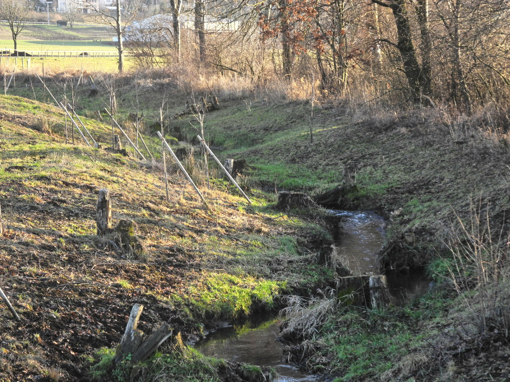 DSCN2276.JPG