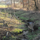 DSCN2276.JPG