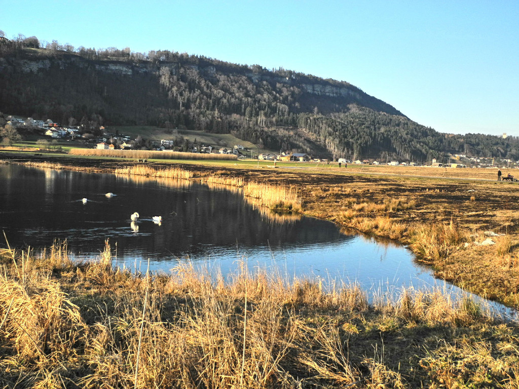 DSCN2278.JPG