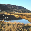 DSCN2278.JPG