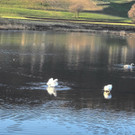 DSCN2277.JPG