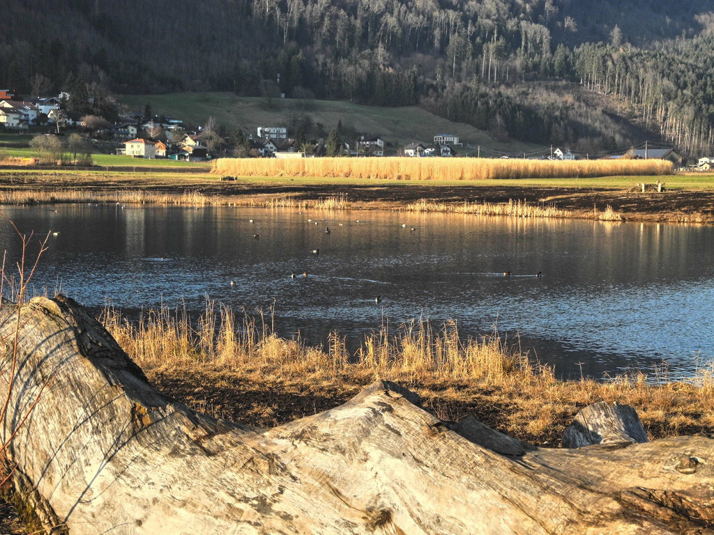 DSCN2283.JPG
