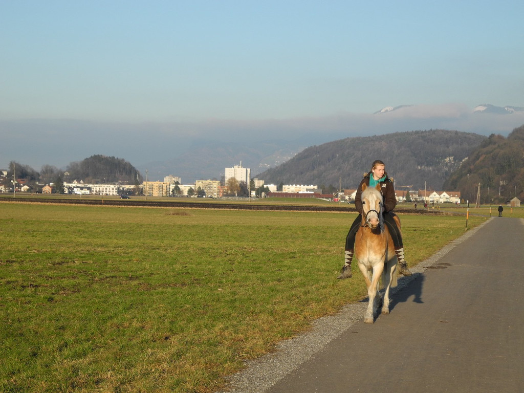 DSCN2288.JPG