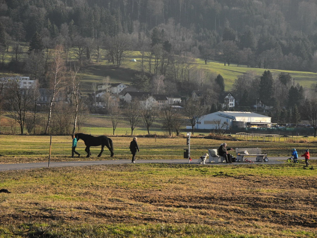DSCN2268.JPG