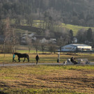 DSCN2268.JPG