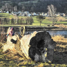 DSCN2280.JPG