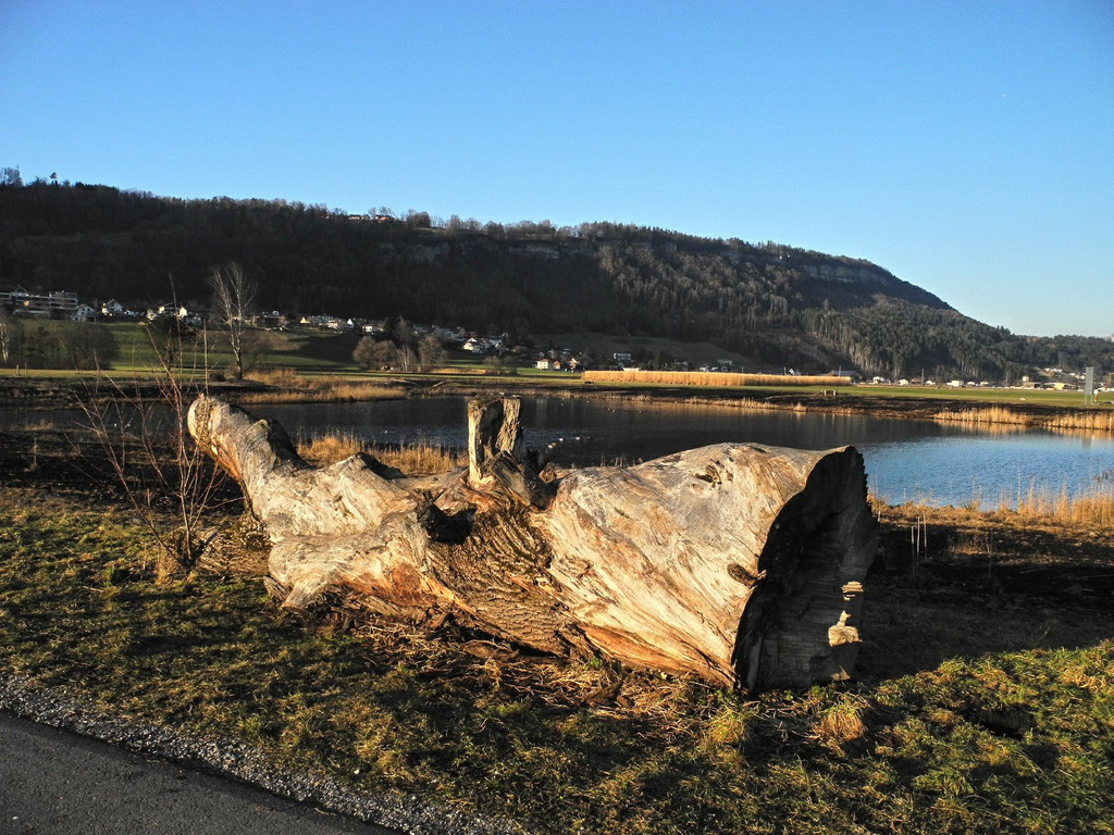 DSCN2282.JPG