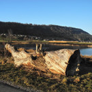 DSCN2282.JPG