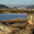 DSCN2285.JPG