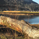 DSCN2286.JPG