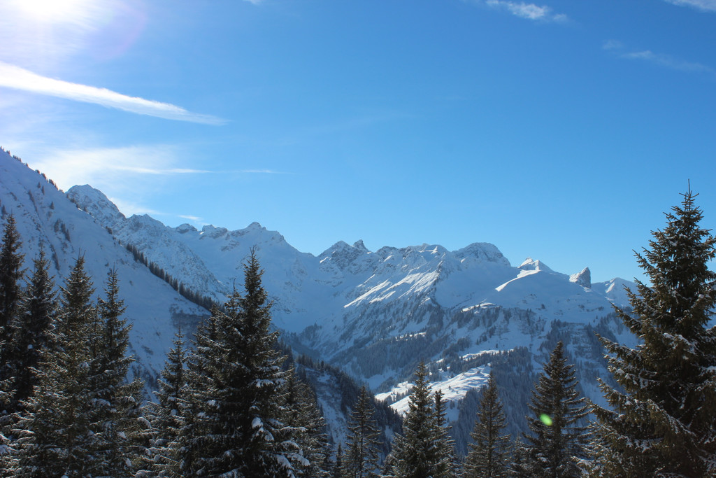 IMG_9582.JPG
