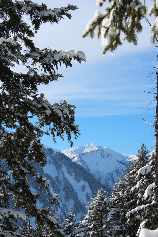 IMG_9565.JPG