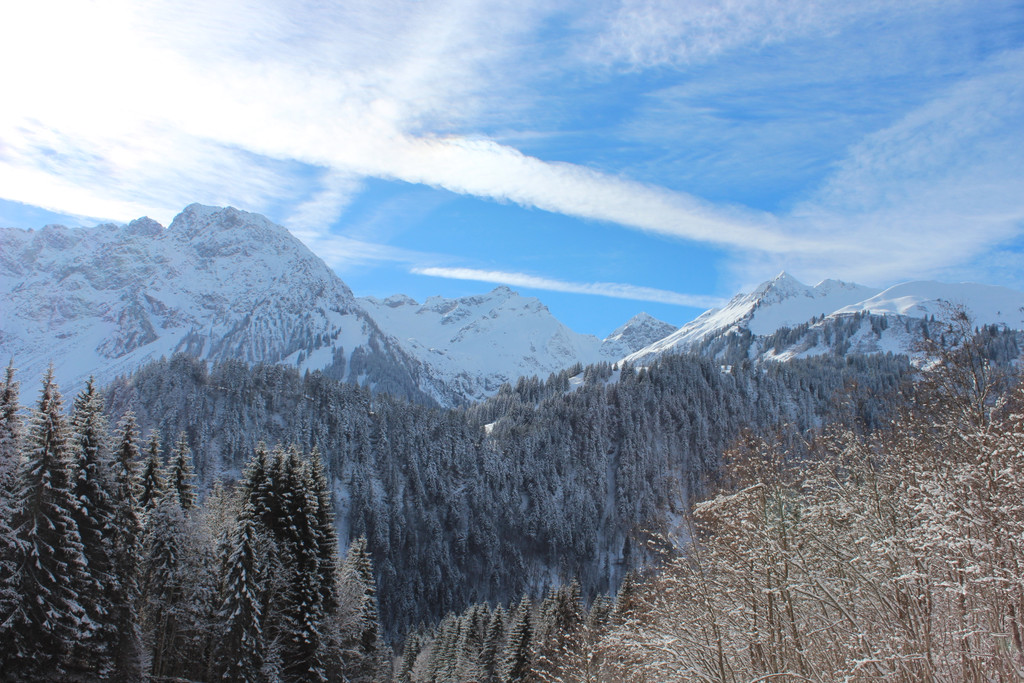 IMG_9539.JPG