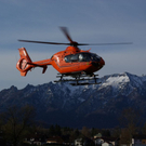 normal_03042010bglfmaktivnews_12.jpg
