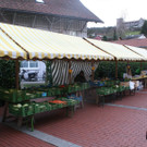 IMG_6747.JPG
