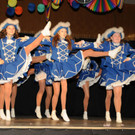Seniorenball 26-01-2014 81.jpg