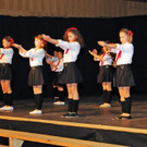 Seniorenball 26-01-2014 156.jpg